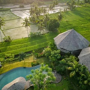 Thewakanda A Pramana Experience Indonesië